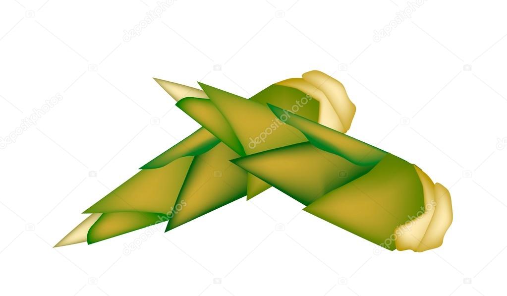 Fresh Bamboo Shoots on A White Background