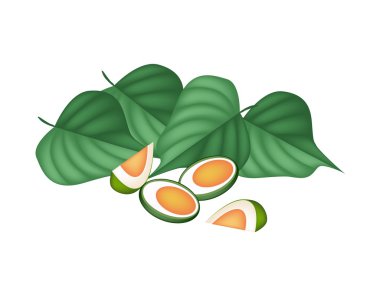 Areca Nuts and Betel Leaves on White Background clipart