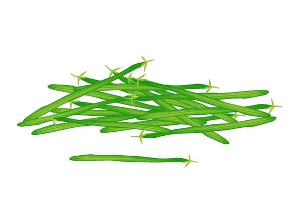 白を基調としたおいしい新鮮な緑の豆 — ストックベクタ