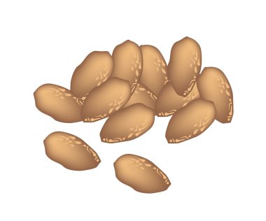 lezzetli kurutulmuş chebulic myrobalans yığını