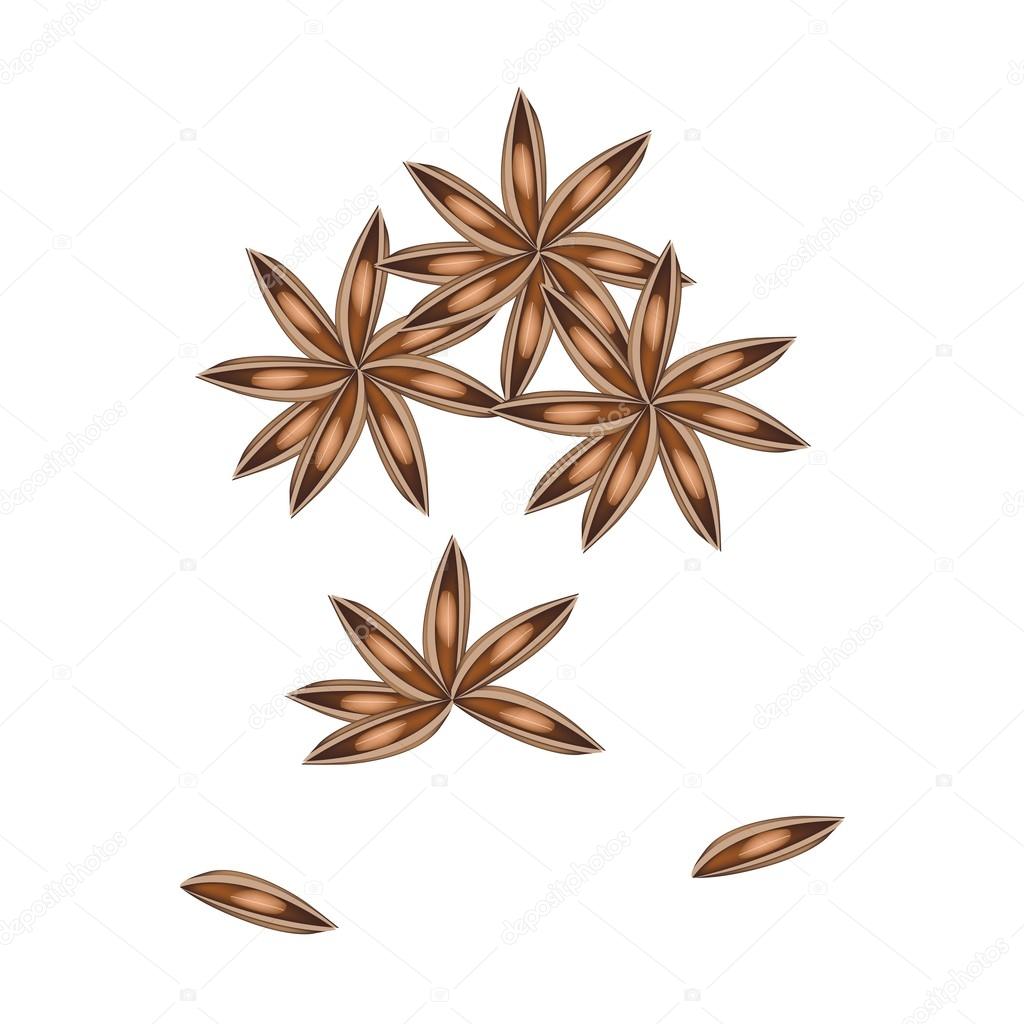 Stack of Dried Star Anise on White Background