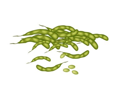 A Stack of Delicious Fresh Green Soybeans clipart