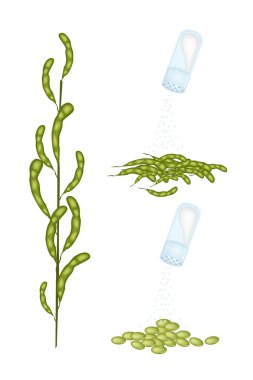 tuz yemek lezzetli haşlanmış soya fasulyesi