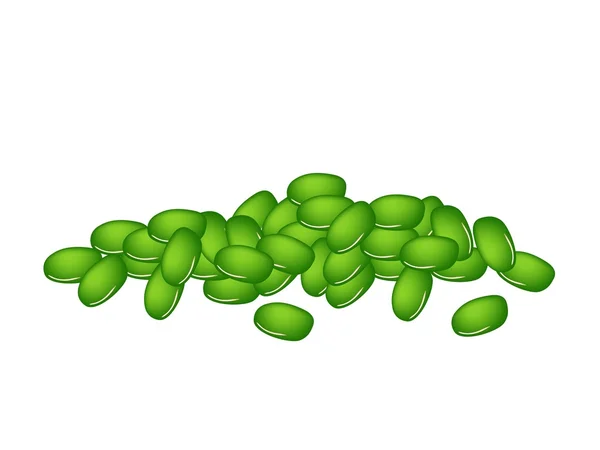 A Stack of Fresh Green Mung Beans — Stock Vector