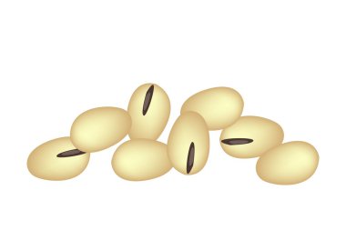 A Stack of Soybeans on White Background clipart