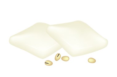 soya ve soya fasulyesi beyaz zemin üzerine