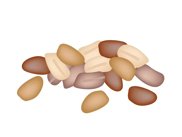 Uma pilha de amendoins no fundo branco — Vetor de Stock