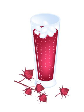 hibiscus sabdariffa veya roselle bitki parçaları