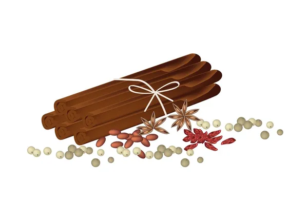 Dried Star Anise with Cinnamon Sticks and Peppercorns — Stock Vector