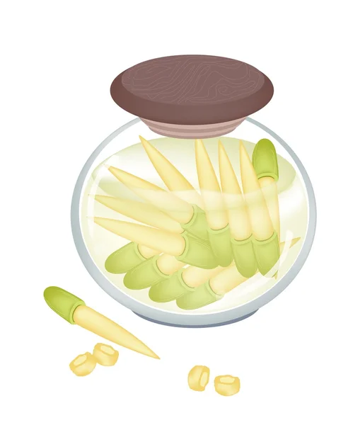 Delicious Pikled Baby Corns in A Jar — Stock Vector