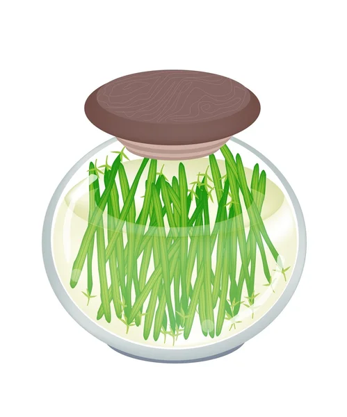 Delicious Pickled Green Bean in A Jar — Stock Vector