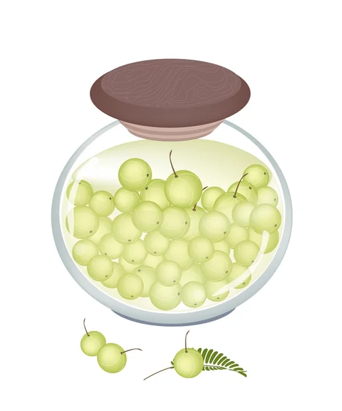 A Jar of Delicious Pickled or Preserved Gooseberries — Stock Vector