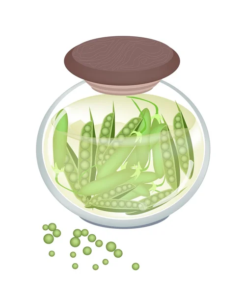 Pickled Sweet Green Pea in A Jar — Stock Vector