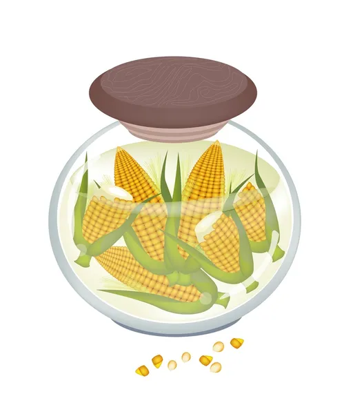 Jar of Yellow Sweet Corns in Brine — Stock Vector