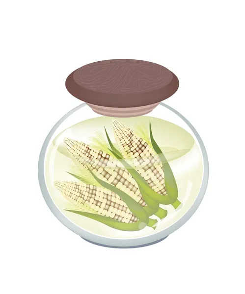 Jar of Yellow Sweet Corn in Brine — Stock Vector