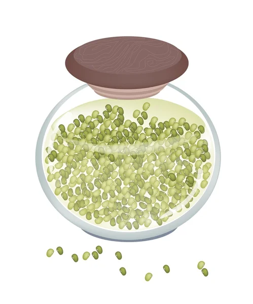 A Glass Jar of Delicious Baked Mung Beans — Stock Vector