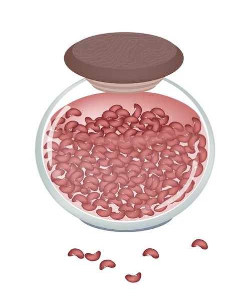 A Glass Jar of Delicious Kidney Bean — Stock Vector