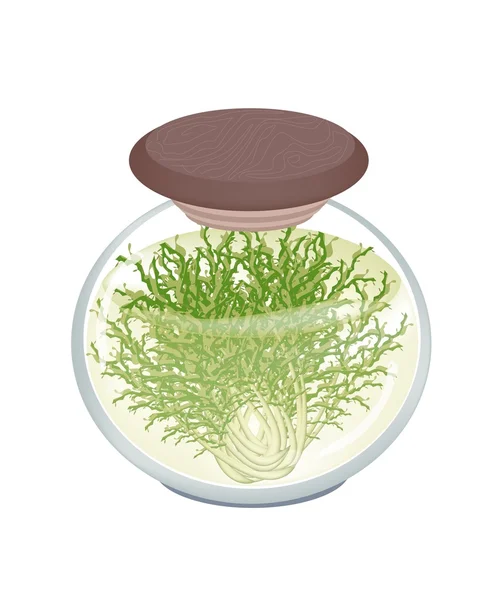 Un pot de délicieuse chicorée verte marinée — Image vectorielle