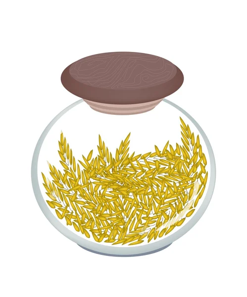 Um jarro de planta de cereais de arroz dourado —  Vetores de Stock