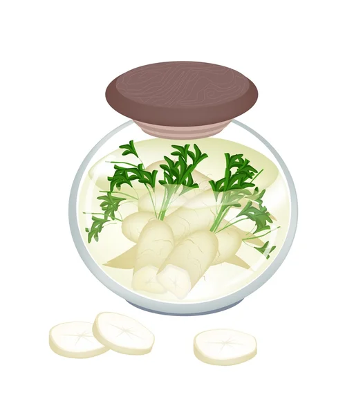 Jar of Pickled White Radish with Malt Vinegar — Stock Vector