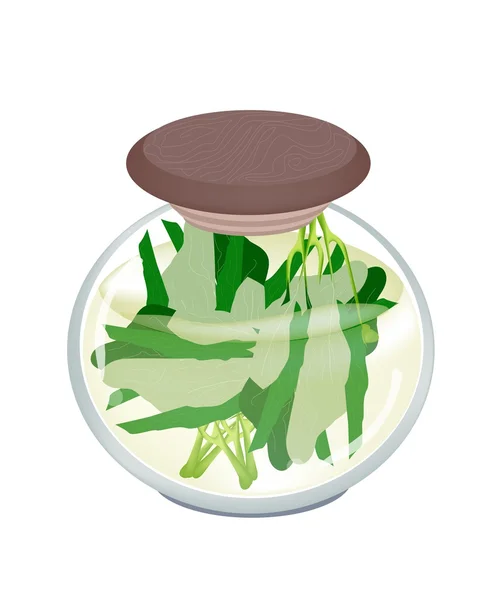 Un frasco de delicioso brócoli chino en escabeche — Vector de stock