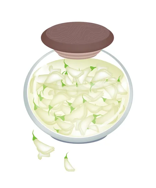 Jar of Pickled Sesban Agasta in Malt Vinegar — Stock Vector