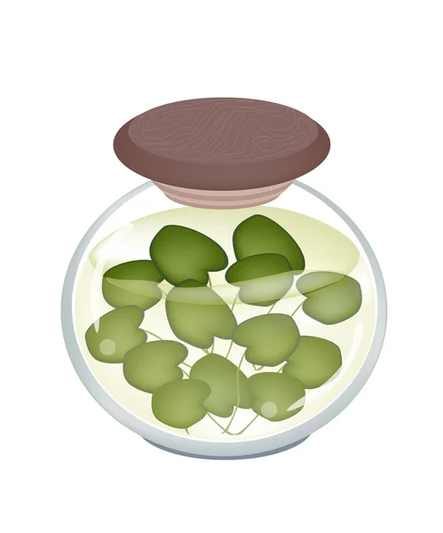 Egy üveg csemege közös frogbit növény — Stock Vector