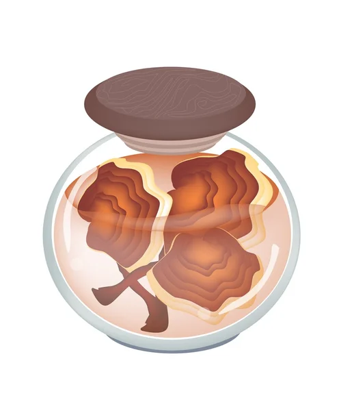 Ein Glas mit eingelegtem Lingzhi-Pilz — Stockvektor
