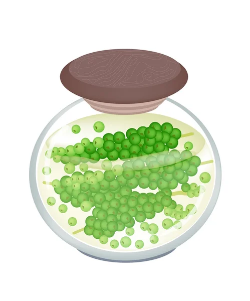 Een pot van heerlijke ingemaakte groene peperkorrels — Stockvector