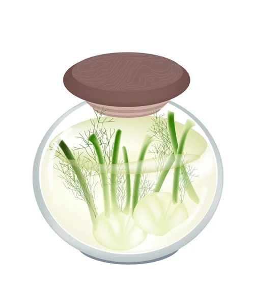 Jar of Pickled Fennels with Malt Vinegar — Stock Vector