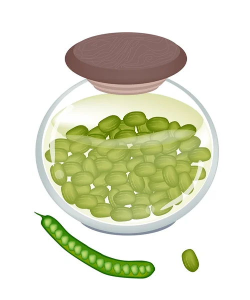 Un vaso di sottaceto contorto Cluster Bean — Vettoriale Stock