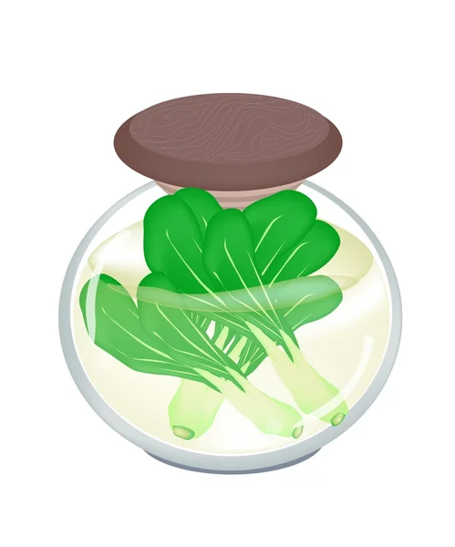 A Jar of Delicious Pickled Baby Pakchoi — Stock Vector