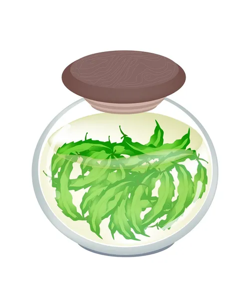 A Jar of Pickled Green Winged Beans — Stock Vector