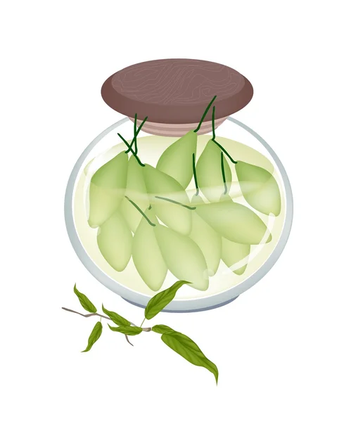 A Jar of Delicious Pickled Terminalia Chebula — Stock Vector