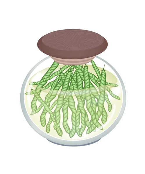 Ένα βάζο γυαλιού, των πράσινου φασολιών mung λοβών — Διανυσματικό Αρχείο