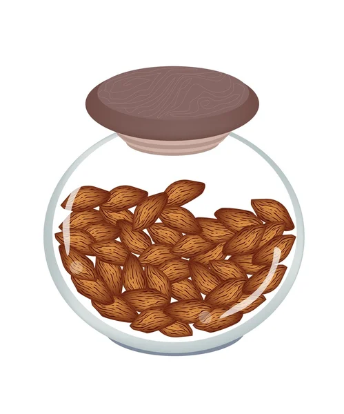 A Jar of  Almonds on White Background — Stock Vector