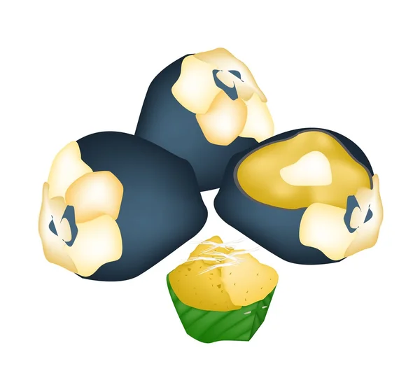 Thaï Toddy Palm Gâteau aux fruits de la palme Toddy — Image vectorielle