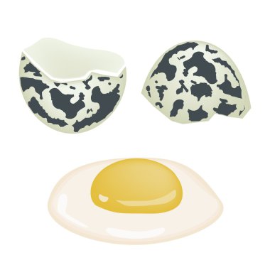 beyaz zemin üzerine taze kırık bıldırcın yumurtası