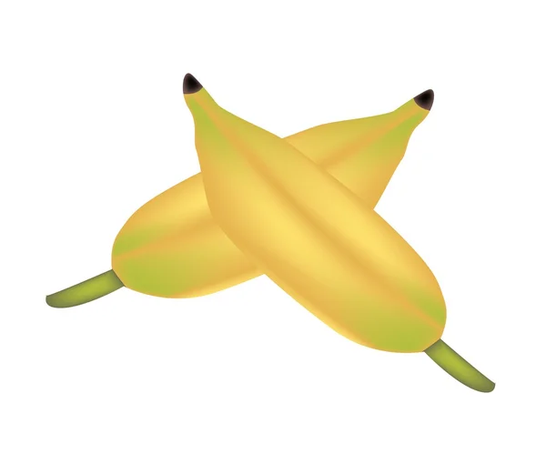 Dos plátanos asiáticos maduros sobre fondo blanco — Archivo Imágenes Vectoriales