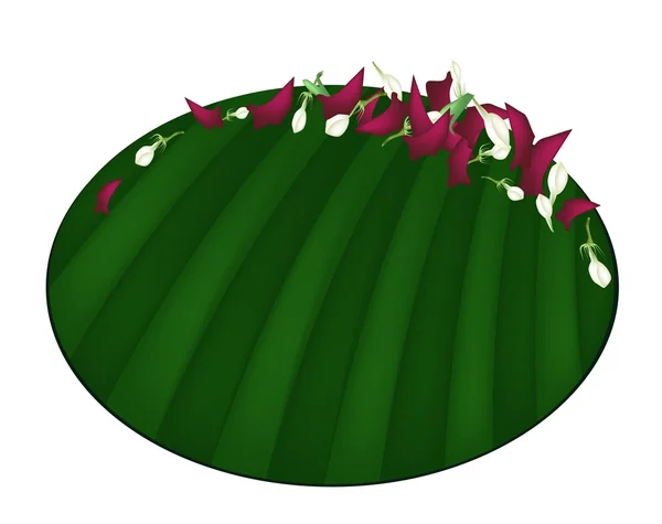 Corolle de roses et de jasmin sur feuille de banane — Image vectorielle