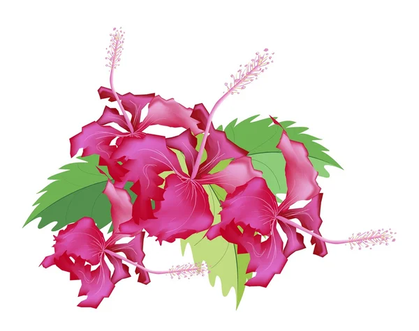 Μια στοίβα από φρέσκο κόκκινο hibiscus τα λουλούδια — Διανυσματικό Αρχείο