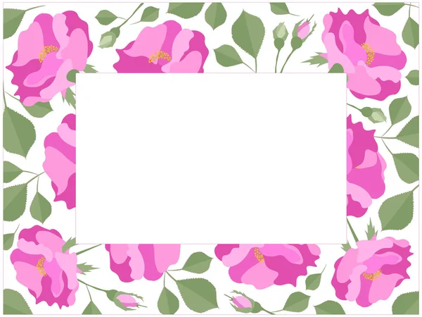 Vacker Blomma Illustration Vacker Rosa Damast Rosor Ram — Stock vektor