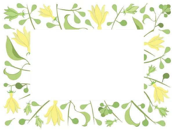 Vacker Blomma Illustration Gul Färg Klättring Ylang Ylang Blommor Ram — Stock vektor