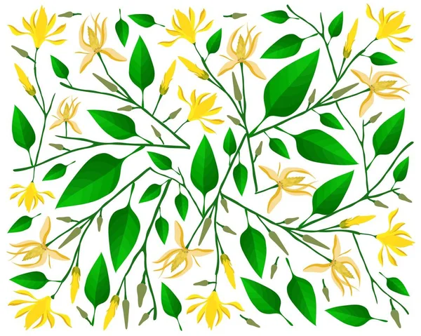 Mooie Bloem Illustratie Achtergrond Van Gele Champaka Magnolia Champaca Bloemen — Stockvector