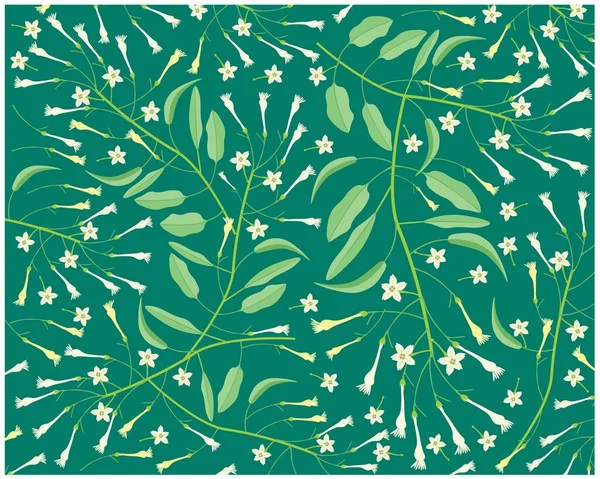 Belle Fleur Illustration Arrière Plan Fleurs Blanches Tubéreuses Jasmin Fleurs — Image vectorielle