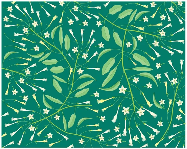 Schöne Blume Illustration Hintergrund Der Weißen Tuberose Blumen Oder Nacht — Stockvektor