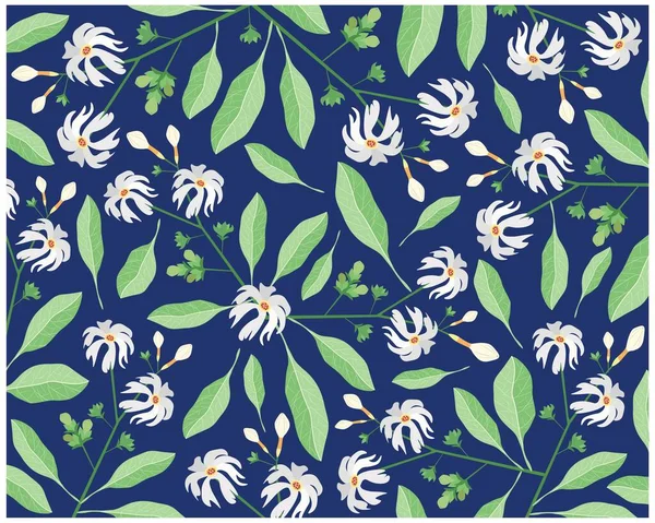 Schöne Blume Illustration Hintergrund Von Nyctanthes Arbor Tristis Oder Nacht — Stockvektor