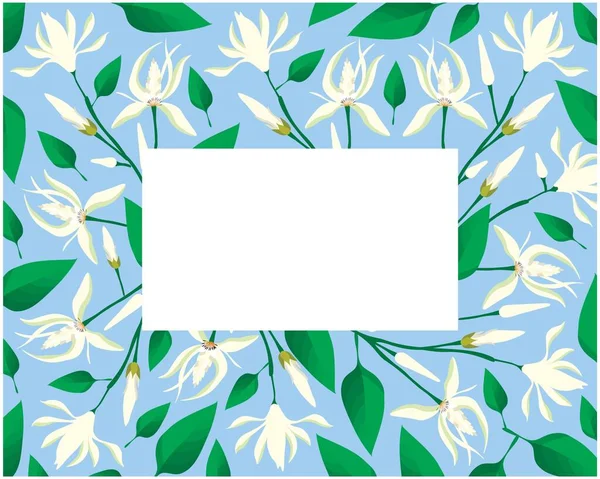 Beautiful Flower Illustration Frame White Michelia Alba White Champaca Flowers — 스톡 벡터