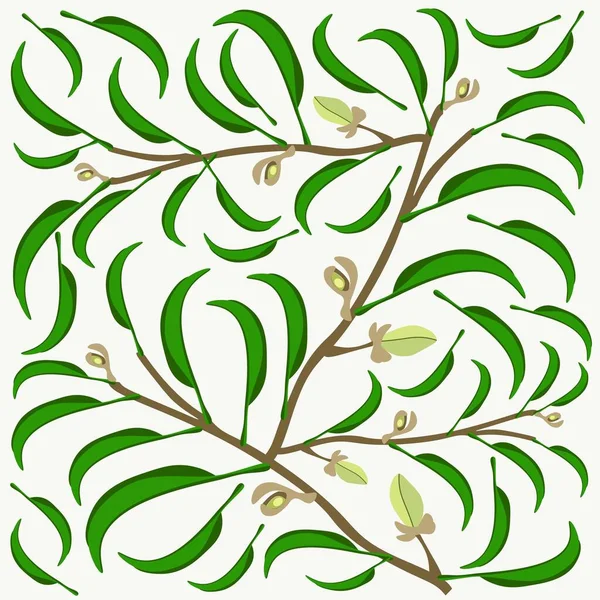 葡萄酒木兰花或木兰花绿叶花在枝条上的美丽花朵 图解背景 — 图库矢量图片