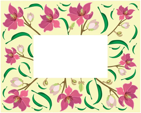 Vacker Blomma Illustration Ram Vin Magnolia Blomma Eller Magnolia Figo — Stock vektor